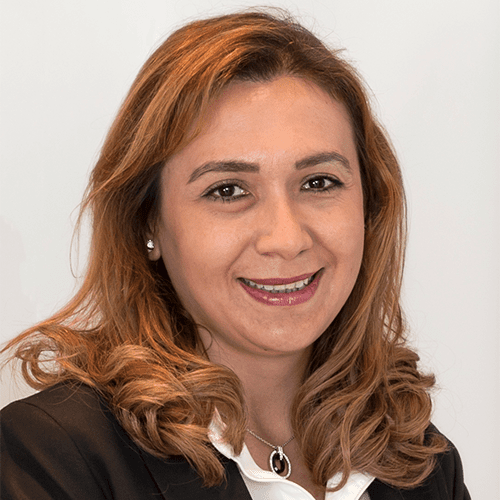 Hale Özsoy Bıyıklı - Turkven - Partner